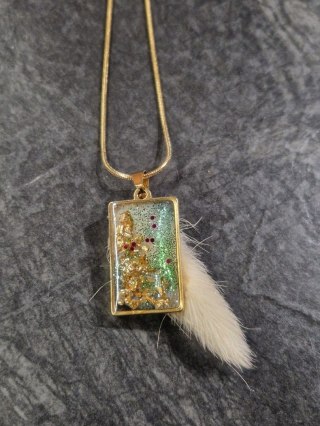 Paw - Strażnik Blasku