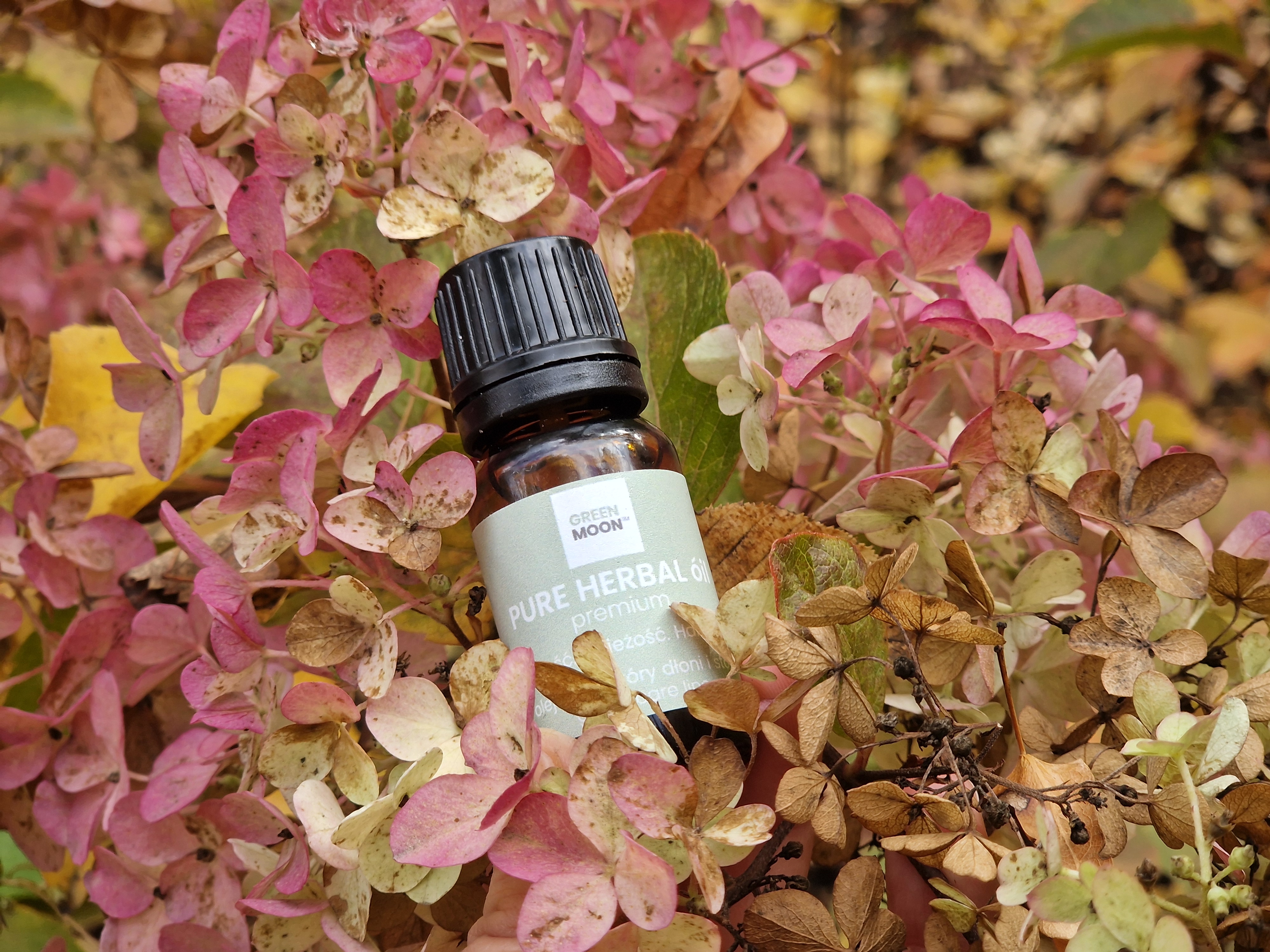 🌿 Moc natury dla pięknych stóp i paznokci – poznaj siłę składników PURE HERBAL óil premium