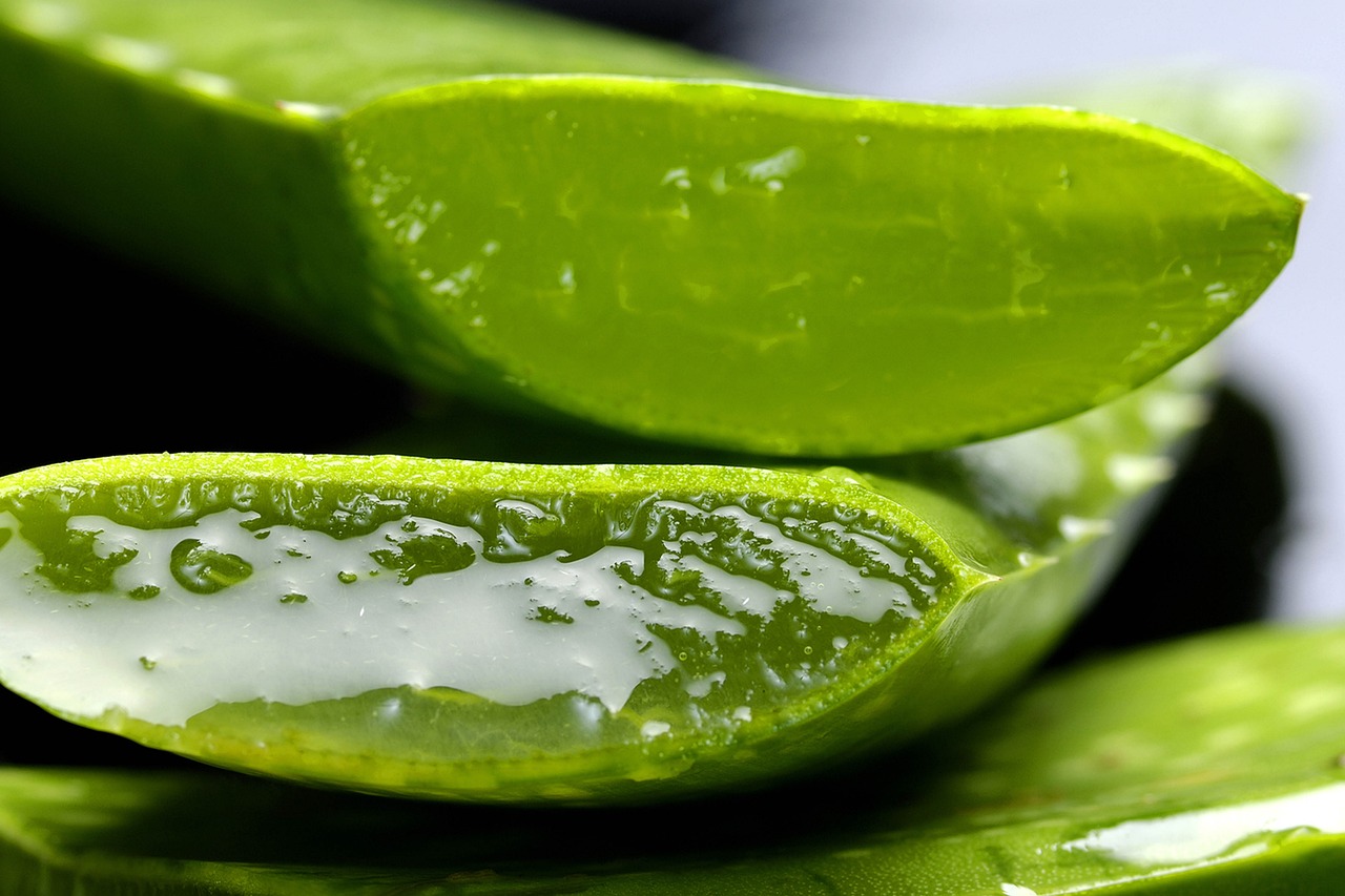 🌱 Aloes na skórę – naturalny eliksir zdrowia i ukojenia